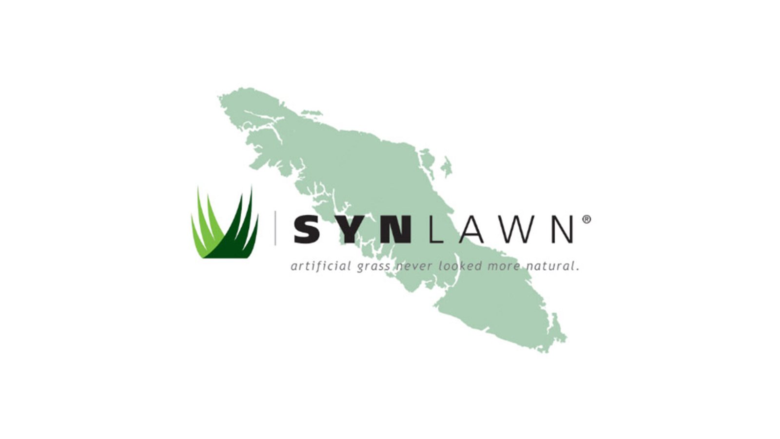 Photo: Synlawn