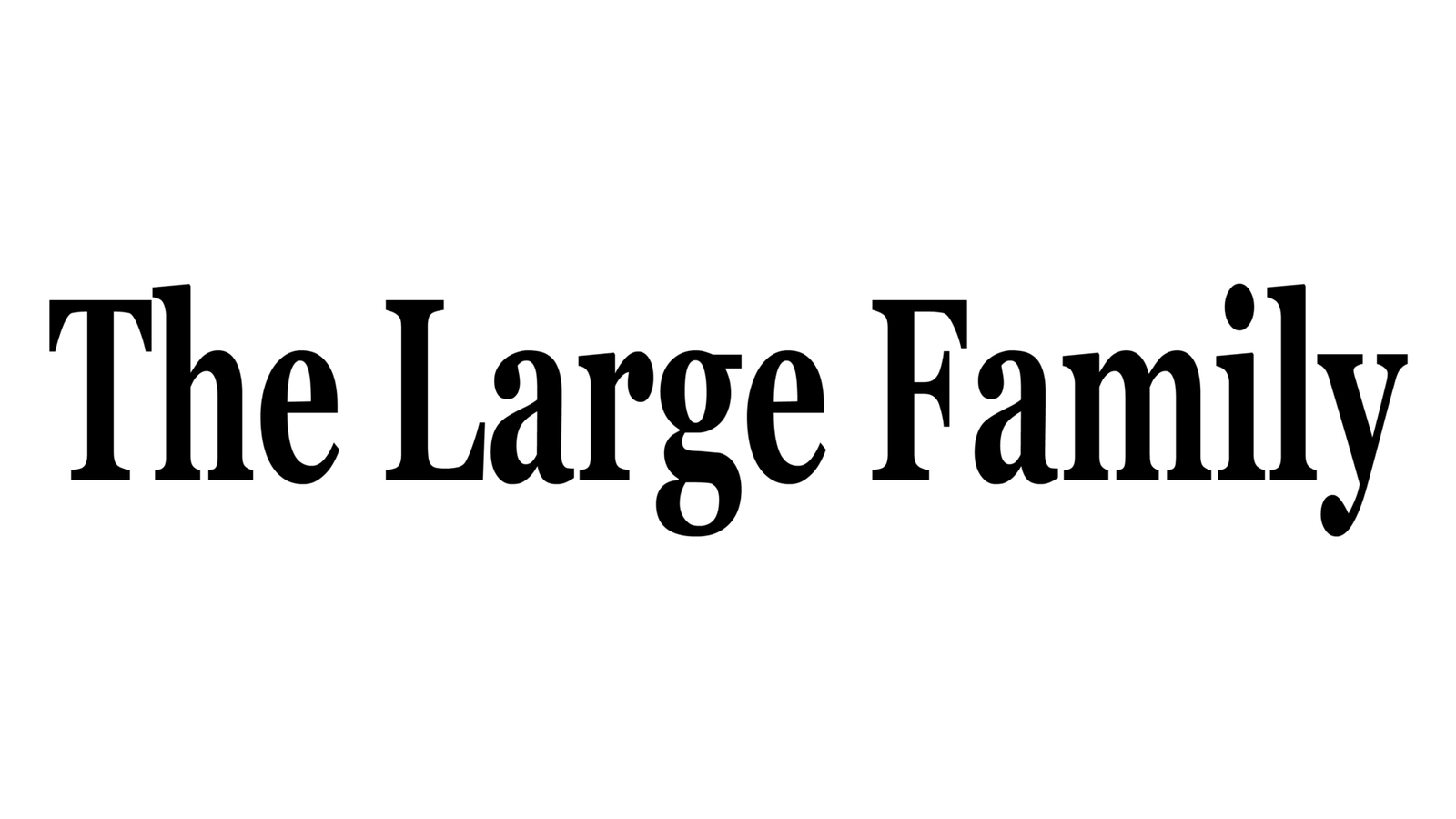 Photo: The Large Family