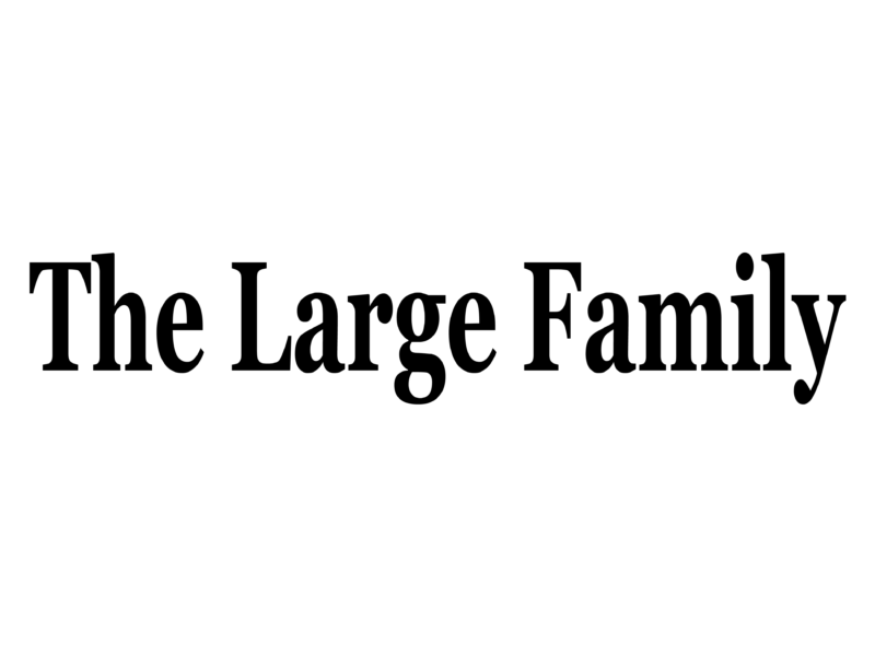 Photo: The Large Family